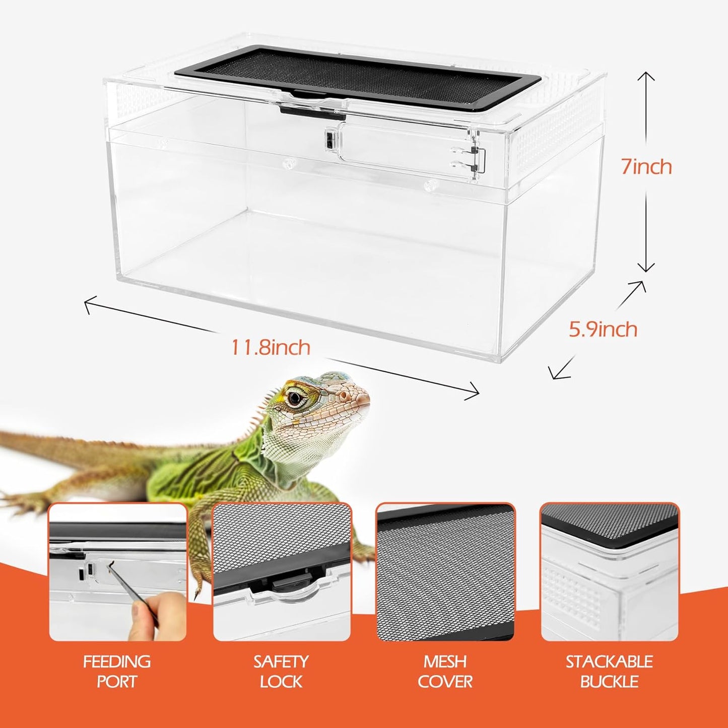 AZV Reptile PC Tank Terrarium Amphibian Turtle Tank Starter Kit Habitat Enclosure Cage 7x11x5 inch for breeding Lizards,Turtles,Corn Snakes,Chameleons,Frog,Crested Leopard Geckos,Spider,Hermit Crab