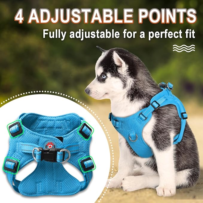 Dog Harness Step in Dog Vest Harness, Reflective Adjustable Puppy No Pull Harness Breathable Soft for Small and Medium Dogs Cats, Blue, S