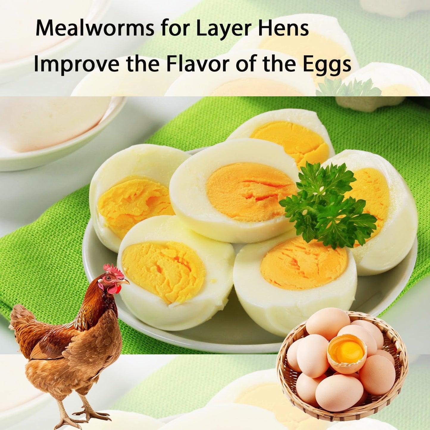 Dried Mealworms 20LB Pure Natural Non-GMO Mealworms for Chickens High Protein Chickens Feed Meal Worms for Laying Hens Wild Birds