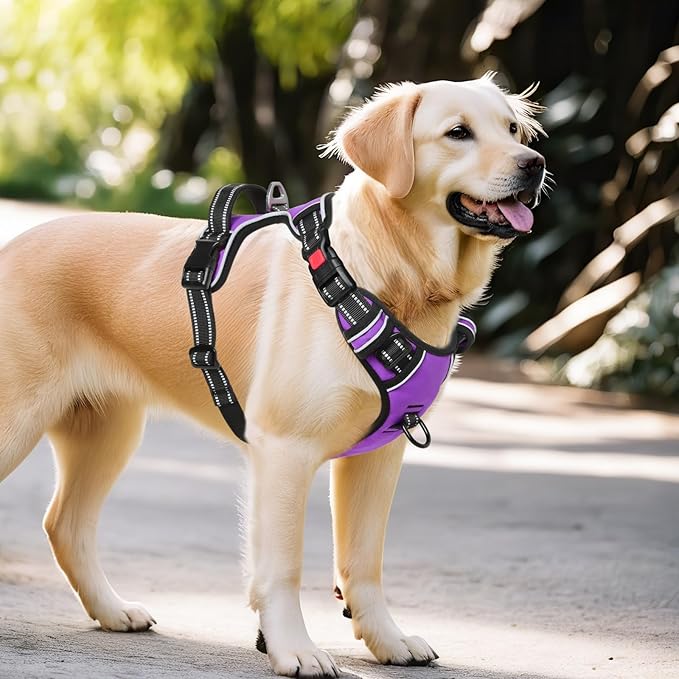 Timos Dog Harness Large Sized, No Pull with Neck Lockable Snap,No Choke Front Clip Dog Reflective Harness,Adjustable Metal Rings 3 Buckles,Easy Control Handle for Large Dogs Purple XL