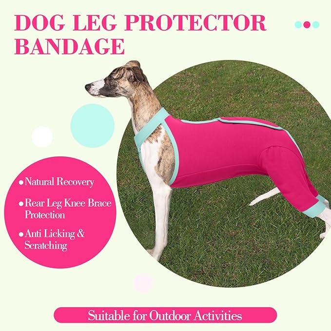 ROZKITCH Dog Surgery Leg Sleeve Rear Legs, Male Female Pet Prevent Licking Wound Elbow Knee Protector, Dog Recovery Suit Cone Collar Alternative Pants Shirt for Wound Heal Wrap Rosered XL