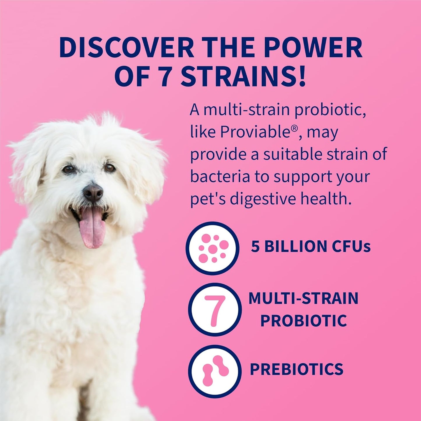Nutramax Proviable Probiotics for Dogs and Cats, Daily Digestive Health Supplement with Multiple Strains of Bacteria, Cat and Dog Probiotics Plus Prebiotics, 30 Capsules