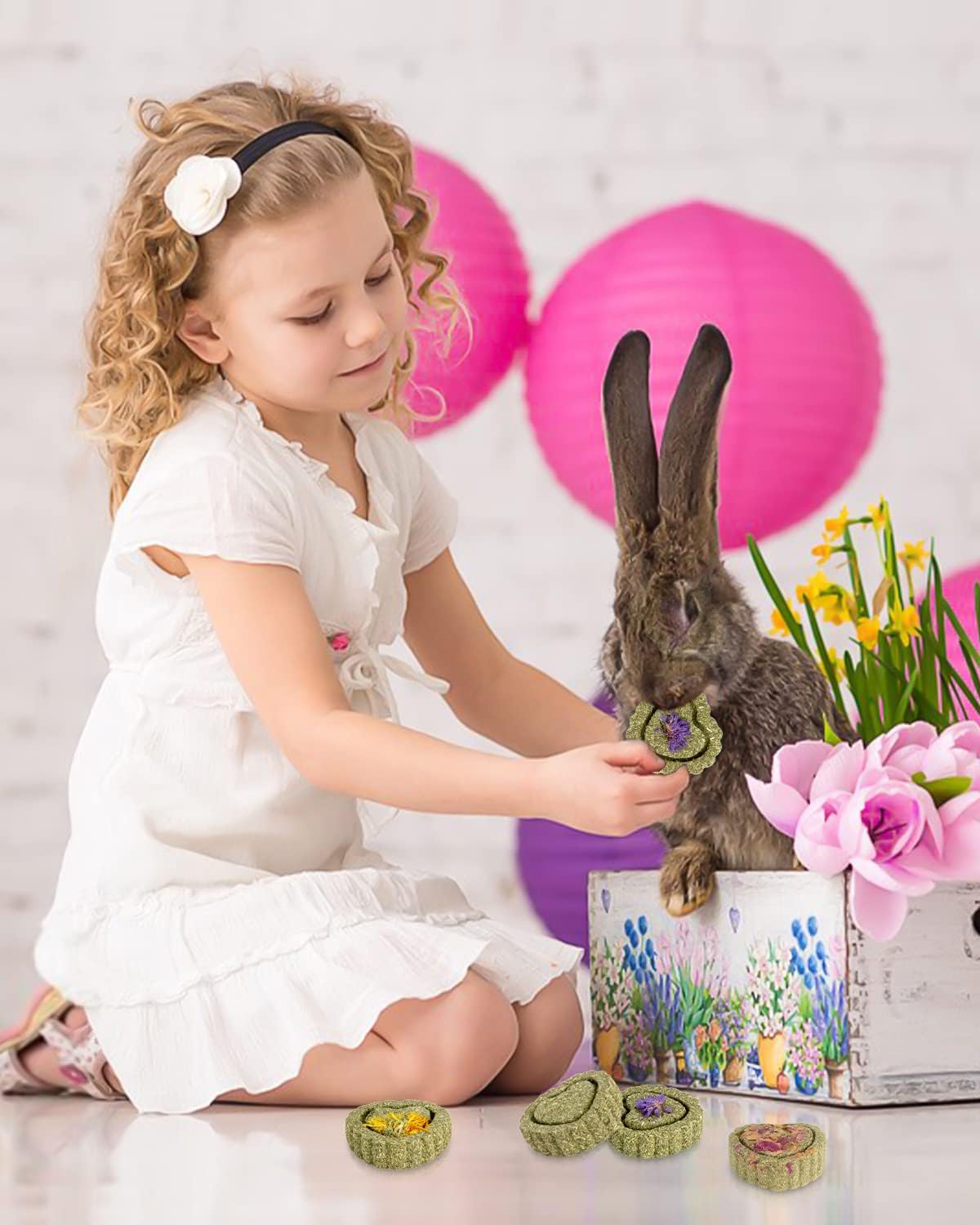 Sofier 12Pcs Timothy Hay Treats - Natural Chews for Teeth - Handmade Rabbit, Chinchilla, Gerbil, Rat, Hamster Toys - Bunny & Guinea Pig Toys