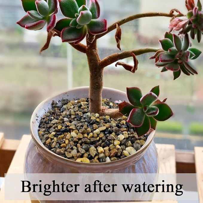 20lbs Natural Fish Tank Gravel,1/4 Inch Pea Gravel. Mixed Color River Rocks for Aquarium, Succulent, Vase, Cactus Bonsai, Plant Soil Cover and Outdoor Landscaping Rocks