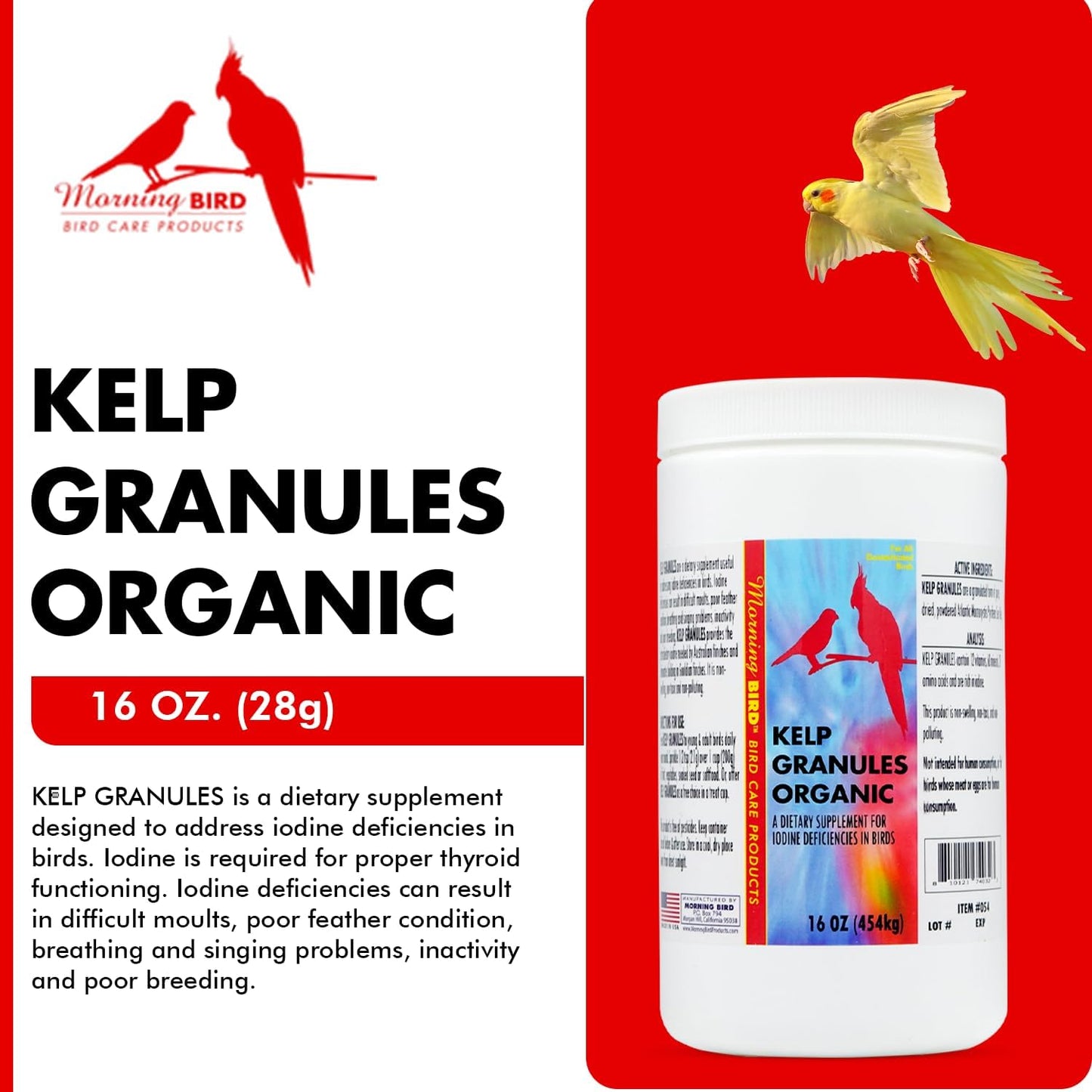 Morning Bird Kelp Granules 16 Oz – Iodine Supplement for Birds – Supports Feather Growth, Molting & Metabolism – Rich in Amino Acids, Trace Minerals & Natural Vitamins – Clean Nutrition for All Birds
