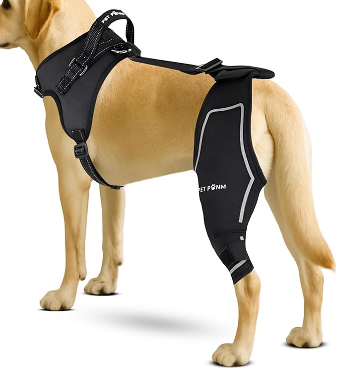 Dog ACL Knee Brace for Back Left Leg - with Integrated Harness - for Cruciate Ligament Injuries, Patellar Luxation, Post-Surgery Recovery. Durable, Breathable Material, Eases Pain - (XLarge)