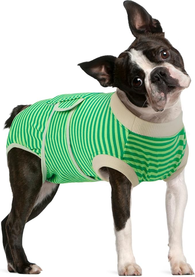 FUAMEY Dog Recovery Suit Male,Dogs Surgery Neuter Suits Puppy Spay Shirts for Female Protect Dog's Skin Anti Licking Abdominal Wounds Doggie Onesie Pet Bodysuit Alternative to Cone Green Stripes M