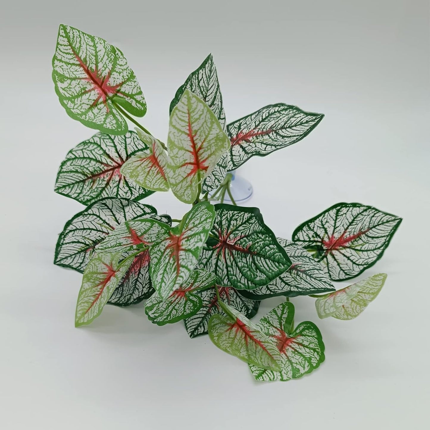 Reptile Plants for Bearded Dragon Tank Accessories, Terrarium Plant Artificial Decor for Snake Cage, Fake Plant for Leopard Gecko Habitat, Lizard Chameleon Ball Pythons (Group ABN)