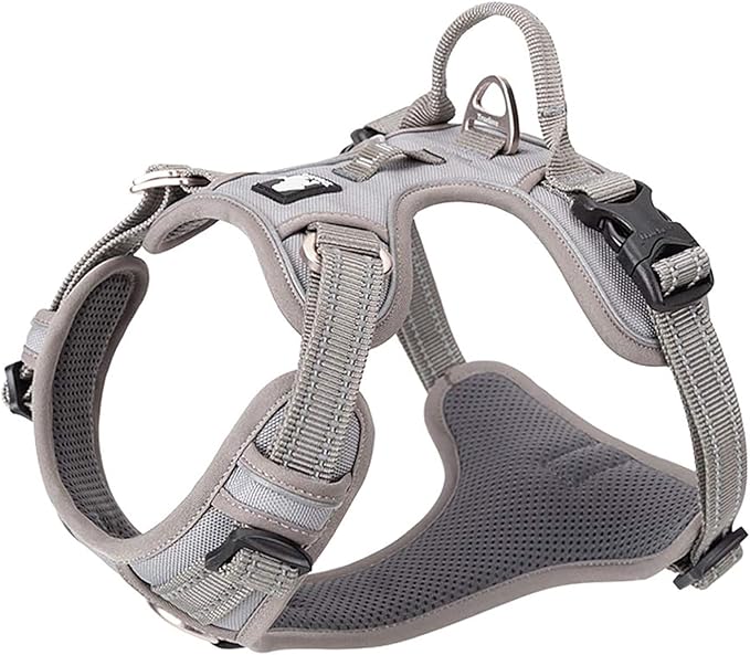 TRUE LOVE Dog Harness No Pull Nylon Reflective Pet Harness Adjustable Comfortable Control Step-in Brilliant Colors Truelove TLH56512 Gray