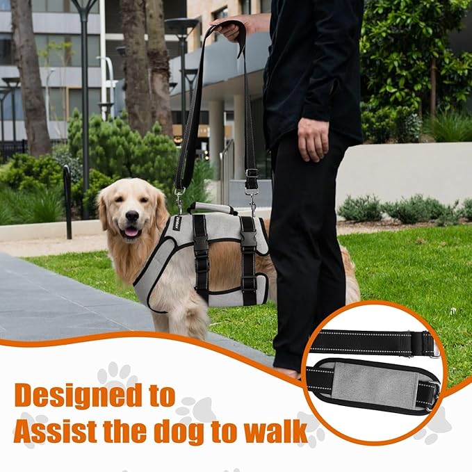 Ayquez Dog Lift Harness with Storage and Transport Bag, Dog Harness with Handle for Lifting & Hip dysplasia, arnés para Perros pequeños, pechera para Perros (Gray, M)