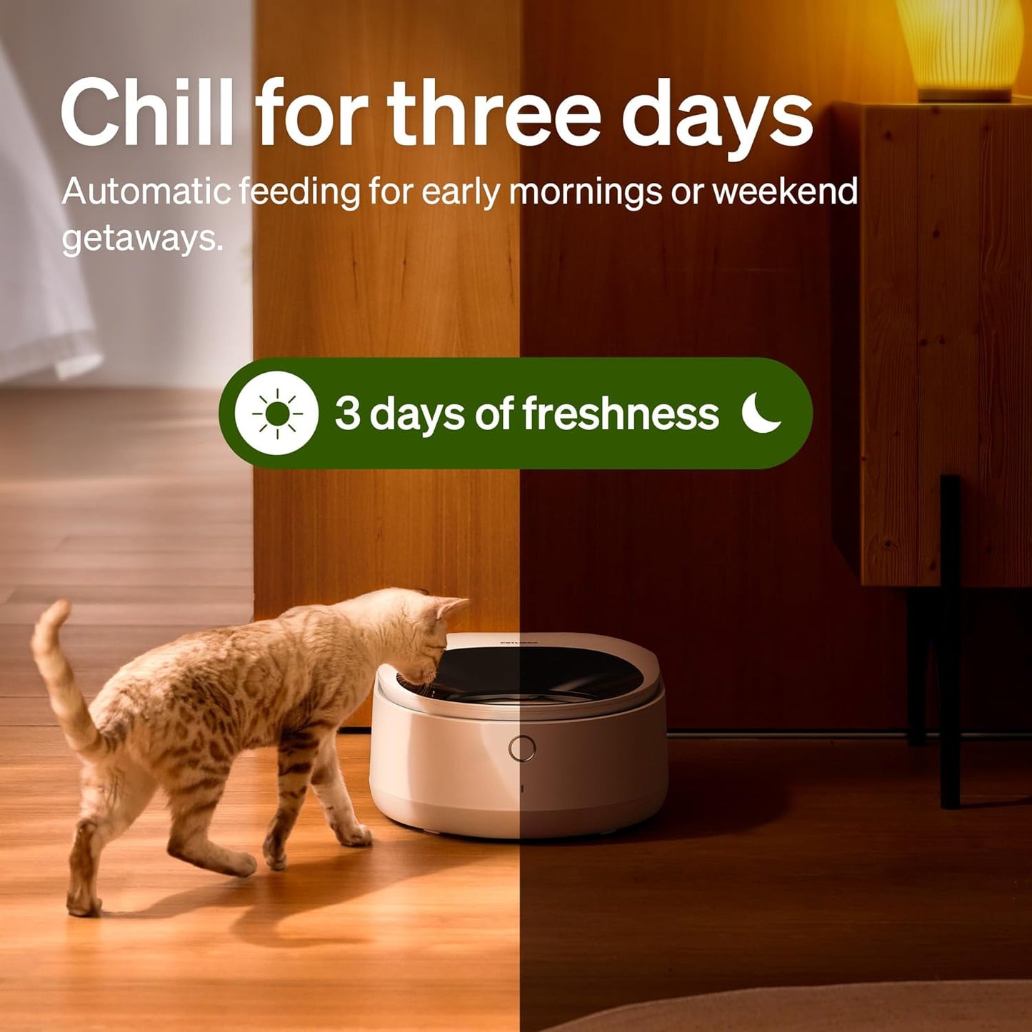 PETLIBRO Automatic Cat Feeder Wet Food with Stainless Steel Bowl, Refrigerated Auto Cat Feeder with Semiconductor Cooling, 3 Fresh Meals for 3 Days, App-Controlled Pet Food Dispenser, Easy to Clean