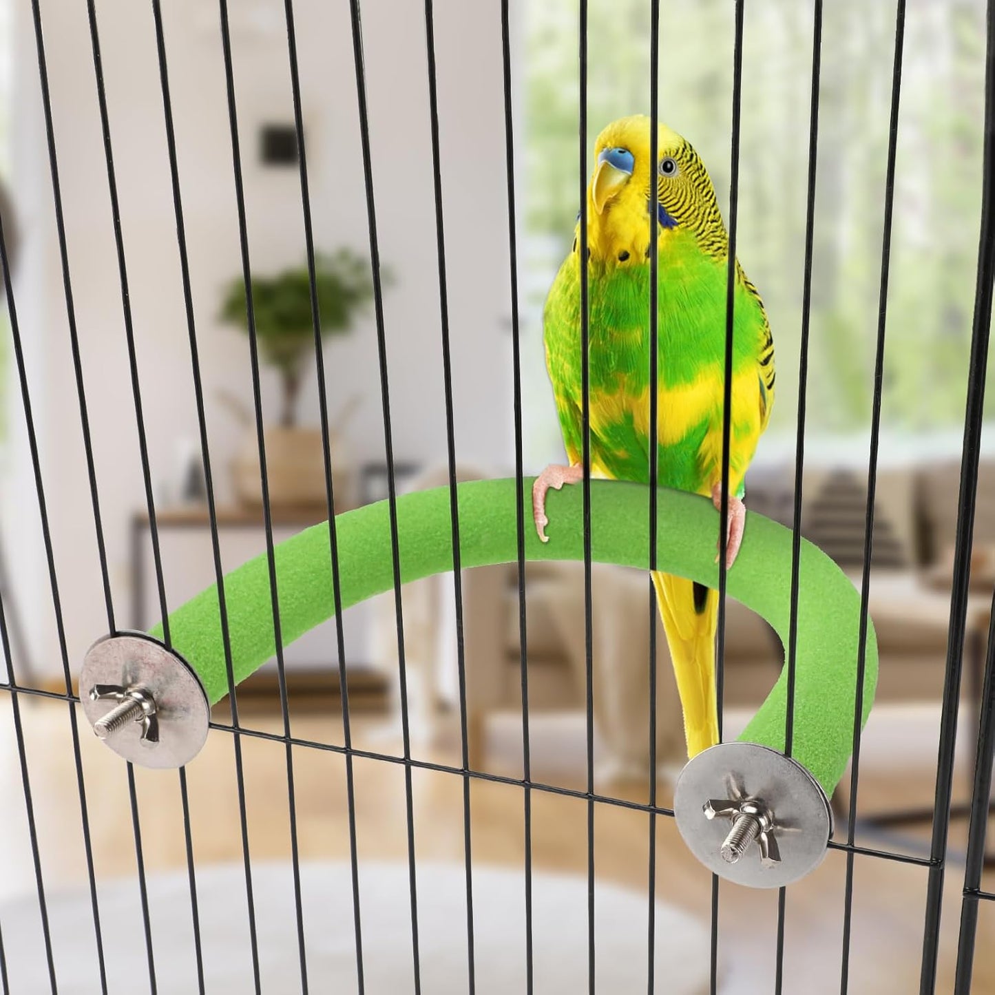 Rypet U Shape Parrot Perch Stand Toy for Paw Grinding Clean Stick Exercise, Rough-Surfaced Quartz Bird Perch Standing Cage Accessories for for Small Parakeets Cockatiels Conures Macaws Finches(Green)