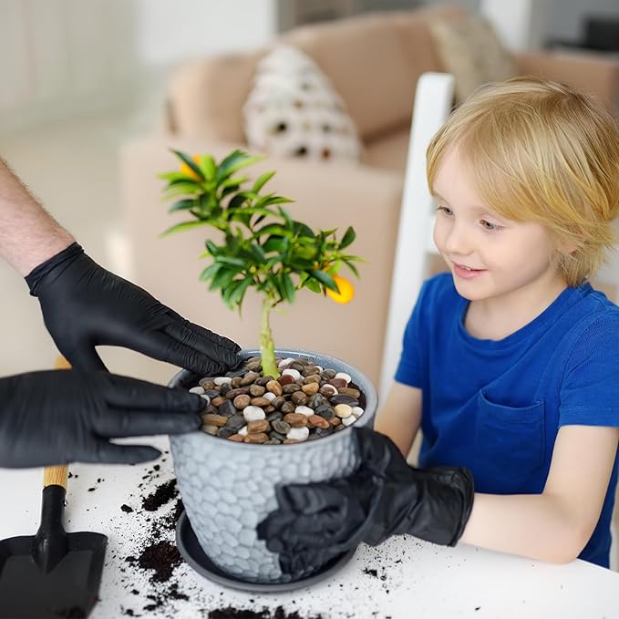 Mr. Fireglass Polished Pebbles, 3/8" Natural Decorative Mixed Color Stones Aquarium Gravel River Rocks for Potted Plants, Landscaping and Home Decor (10-lb Bag)