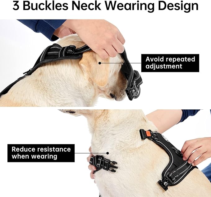 IVY&LANE No Pull Dog Harness for Medium Dogs, Dog Vest Harness with Leash, Safety Belt and Storage Strap, Fully Adjustable Harness, 360° Reflective Strip, Soft Handle (Black, M)