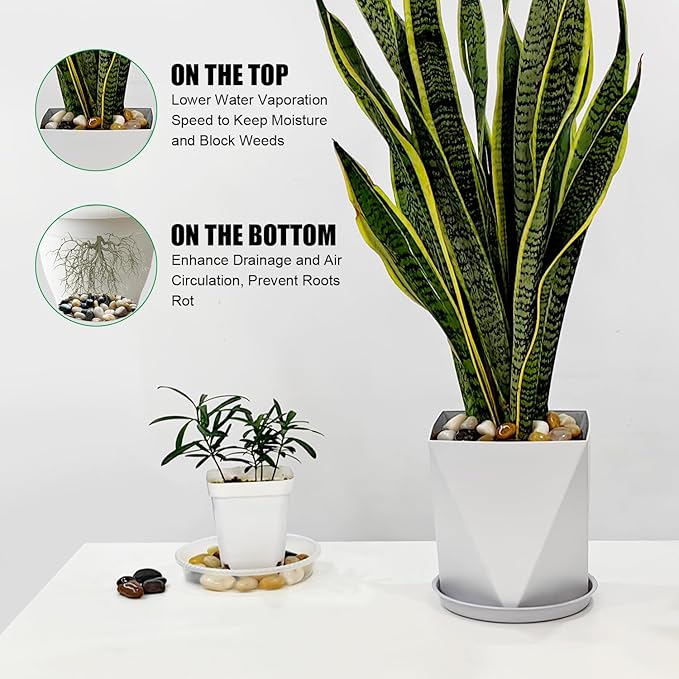 River Rocks 20 Lbs,0.4-1.2 Inch Pebbles for Indoor Plants, High Polished Stones for Garden Landscaping, Smooth Gravel Filler for Outdoor Plants, Succulents, Fish Tank and Vases