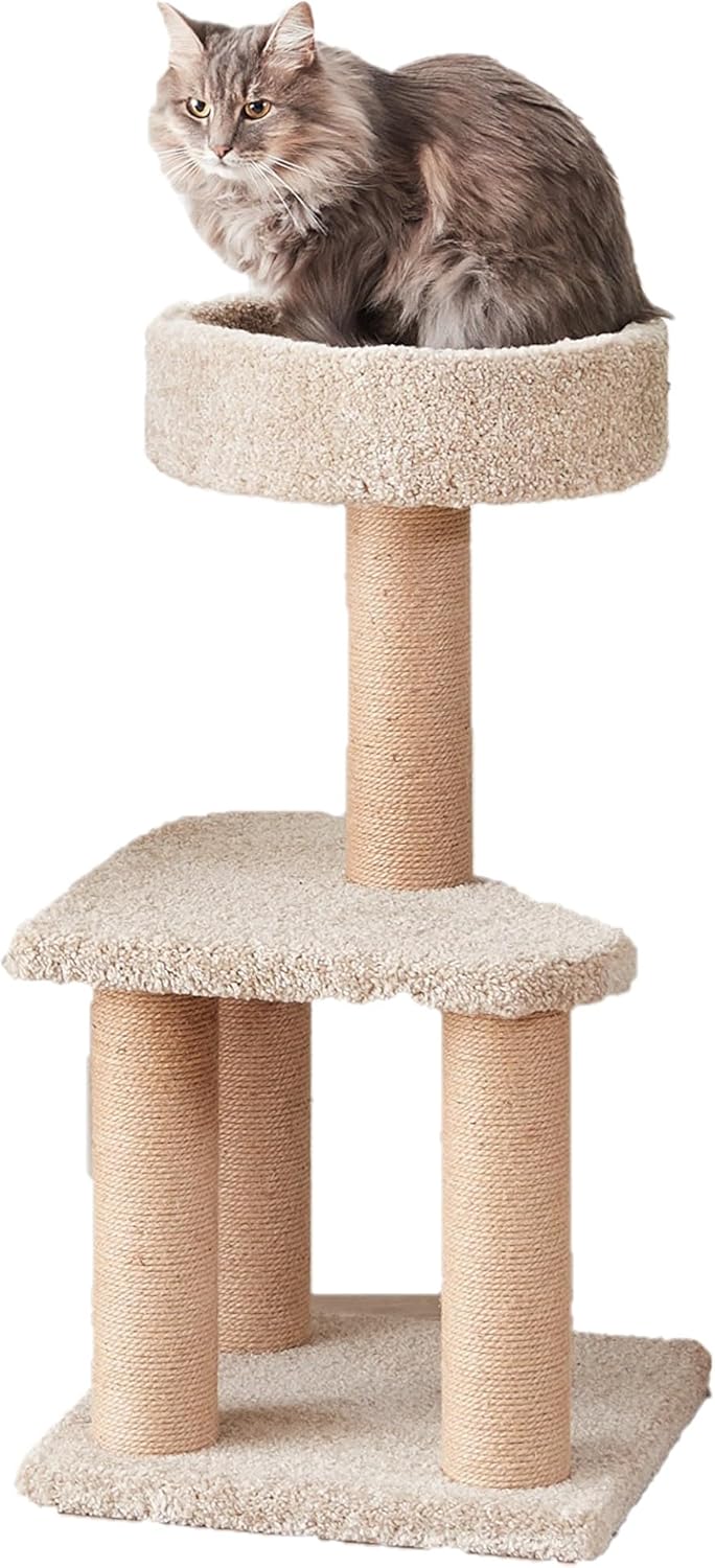 Amazon Basics Cat Tree - Indoor Cat & Kittens Multi-Level Climbing Activity Tower with Scratching Posts, Medium (31.5"H) - Beige