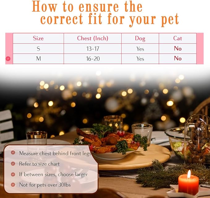 Comfort Fit Dog Harness No Pull with Adjustable Buckles Soft Padded Reflective Choke Step-in Pet Vest with Easy Control Handle for Small Medium Large Dogs & Puppies for Walking Running Training