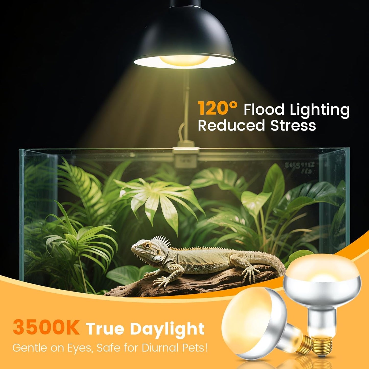 Dual Reptile Light Fixture with 100W Daytime Heat & UVB 10.0 Reptile Bulb, 2 Independent Switches, Reptile UVA UVB Light Combo Pack