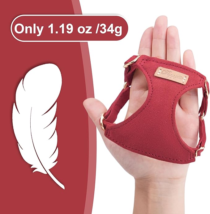 Puppytie No Pull Small Dog Harness with Multifunction Dog Leash,Lightweight Soft Adjustable No Choke Escape Proof Pet Harness Vest Pet Harness Vest,red Hawthorn,S