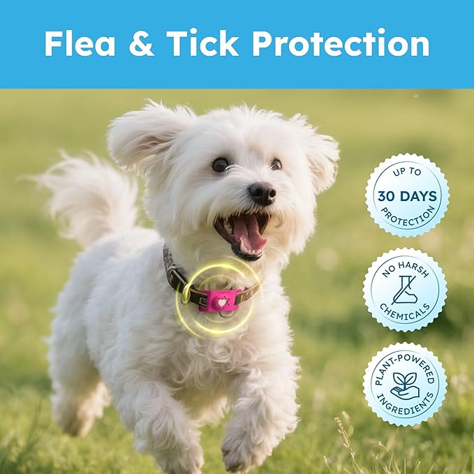 Bug MD Paw Guardian Refill, Plant-Powered Flea & Tick Protection Tablets, 3 Count, 30-Day Protection, Natural Essential Oil Formula