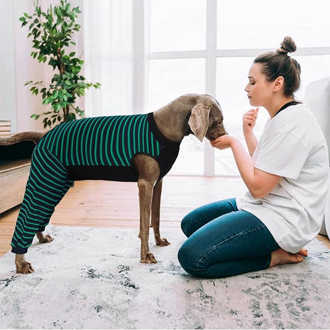 Kuoser Dog Recovery Suit, Anti Licking Dogs Rear Leg Sleeve, Abdominal Dog Surgical Suit with Pants Cover Protect Wounds, Dogs Elbow Protector Soft Pet Surgery Onesie Cone Alternative, Green 4XL