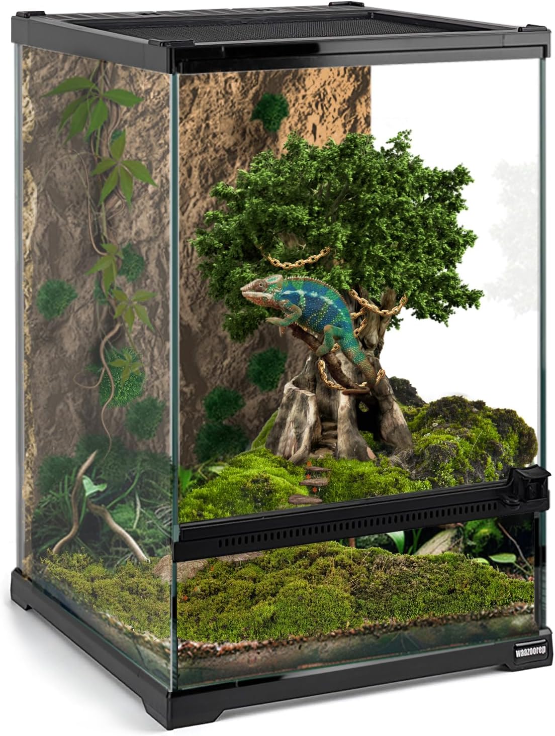 Mini Reptile Glass Terrarium Tank 8"x8"x12“ Full View with Front Opening Door and Enclosure Habitat Cage for Leopard Gecko Tarantula Young Lizard Hermit Crab Frog Insects Breeding Tank