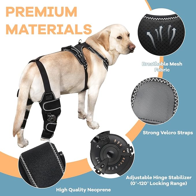 Dog Knee Brace with Adjustable Support – ACL & CCL Tear Recovery, Post-Surgery Stabilization, Mobility Aid for Rear Legs – Includes Secure Chest Harness for Dogs(Right,L)