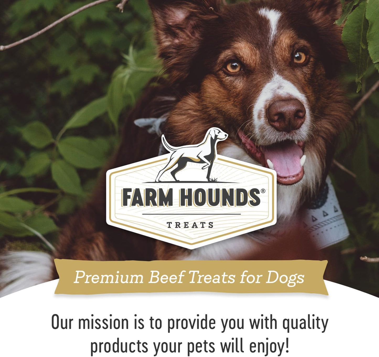 Farm Hounds - Beef Organs Bundle - Premium Beef Organs for Dogs - Made from 100% Humanely Raised Cattle - Great for Training & Treats - No Added Fillers - Made in USA - 4 Pack