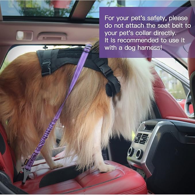 AUBELL Dog Seat Belt for Car,Updated 3-in-1 Adjustable Reflective Bungee Heavy Duty Dog Car Harness Tether with Clip Hook Latch & Buckle,Swivel Zinc Alloy Carabiner,Purple
