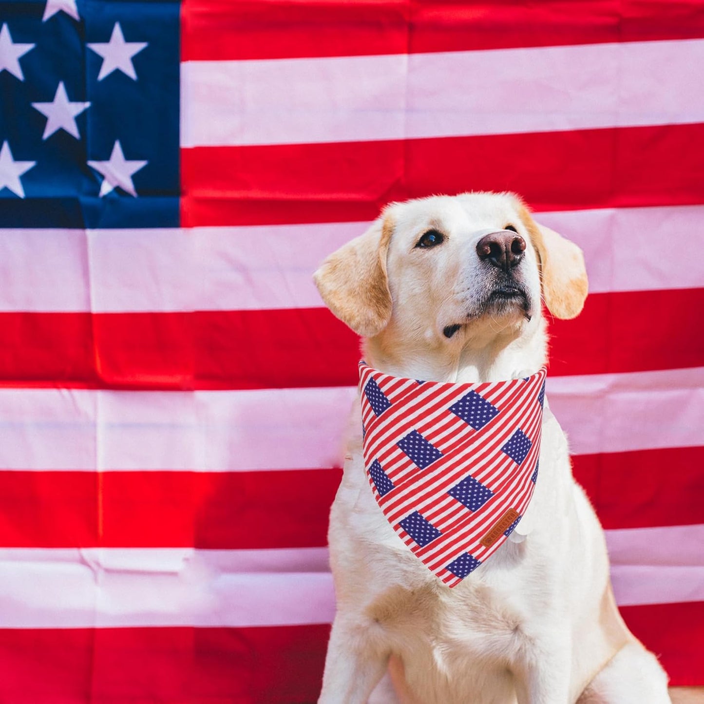 ADOGGYGO American Flag Dog Bandanas, Red Blue Patriotic Eagles USA Flag Scarf, Multi Size, 4th of July Bandana for Extra Large Dogs Pets (X-Large)