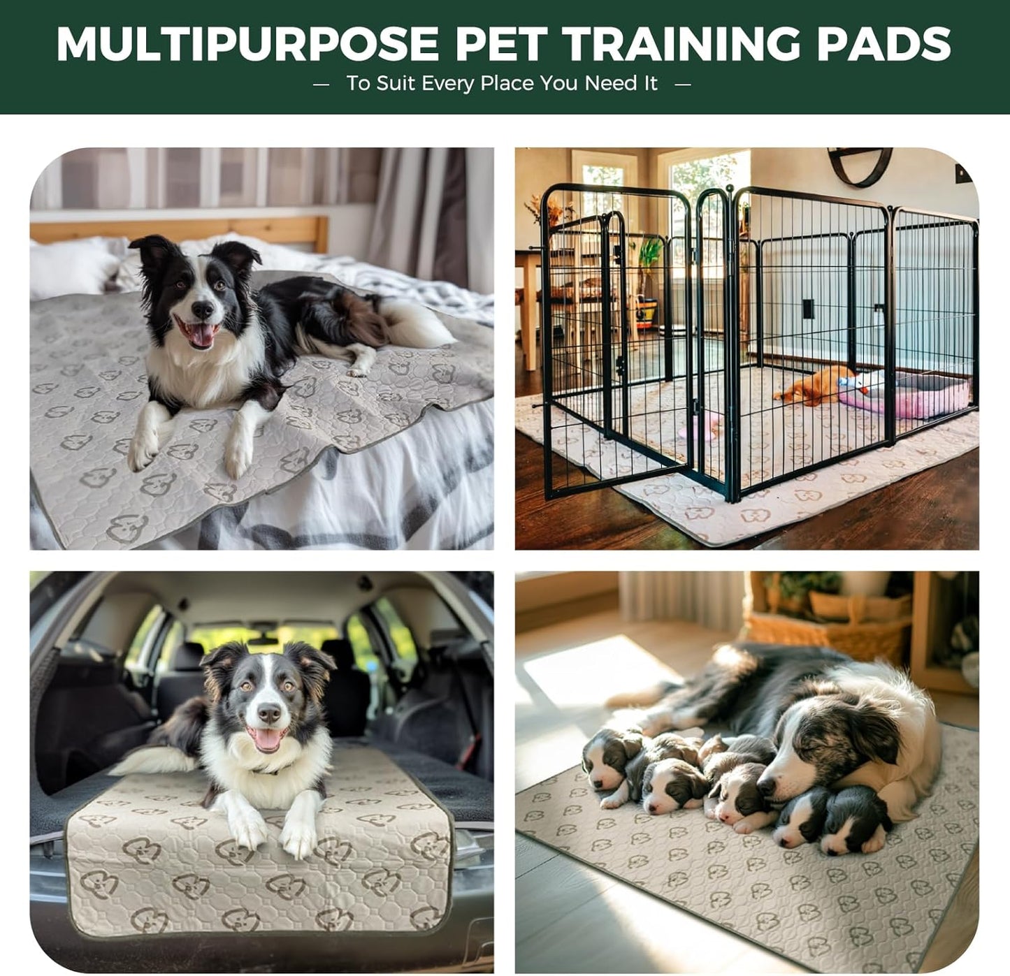 FXW Washable Pee Pads for Dogs, Puppy Pads with Super Absorbent, Specifically Designed for Whelping Box, 39" Round, Khaki, 2 Packs