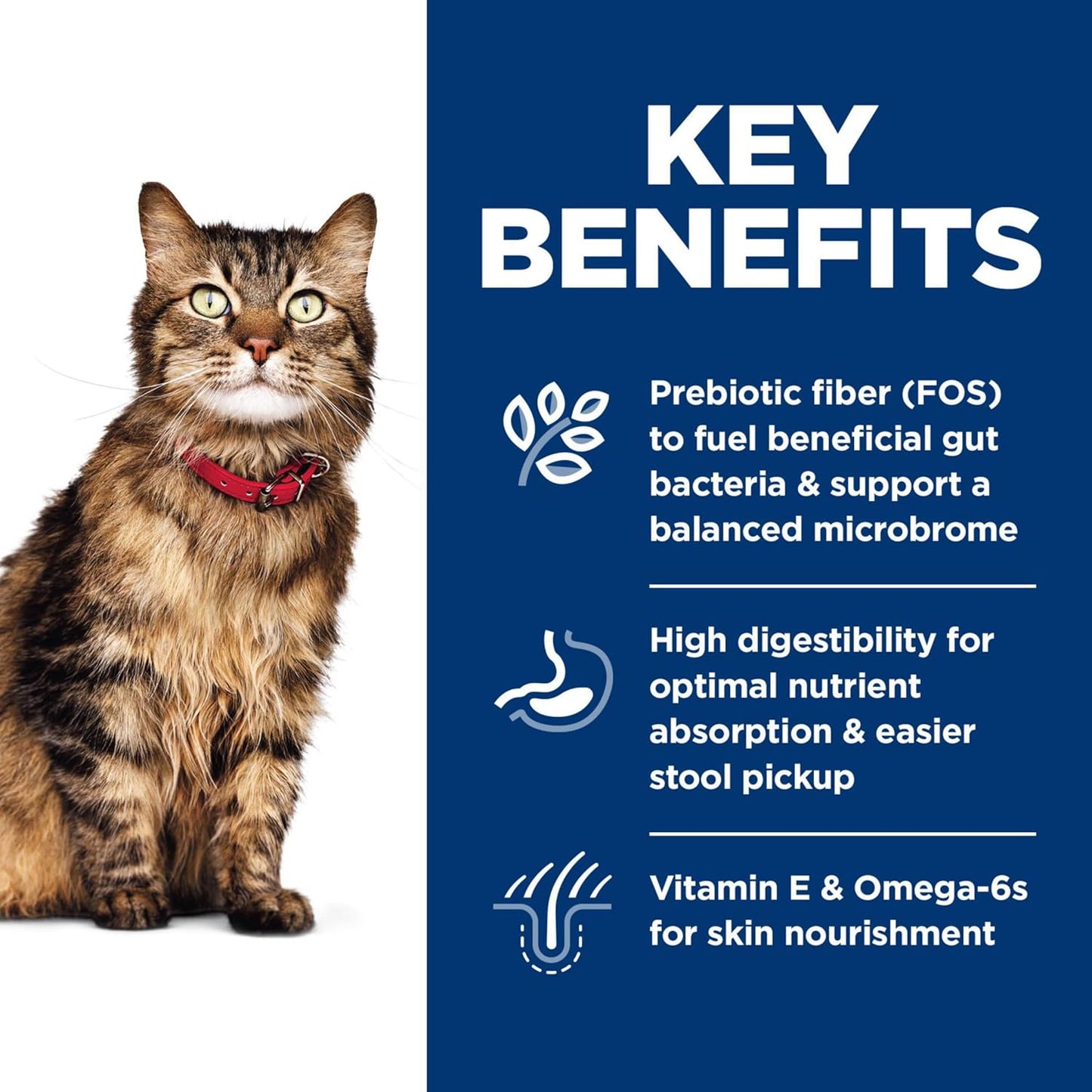 Hill's Science Diet Sensitive Stomach & Skin, Adult 1-6, Stomach & Skin Sensitivity Support, Dry Cat Food, Chicken & Rice, 3.5 lb Bag