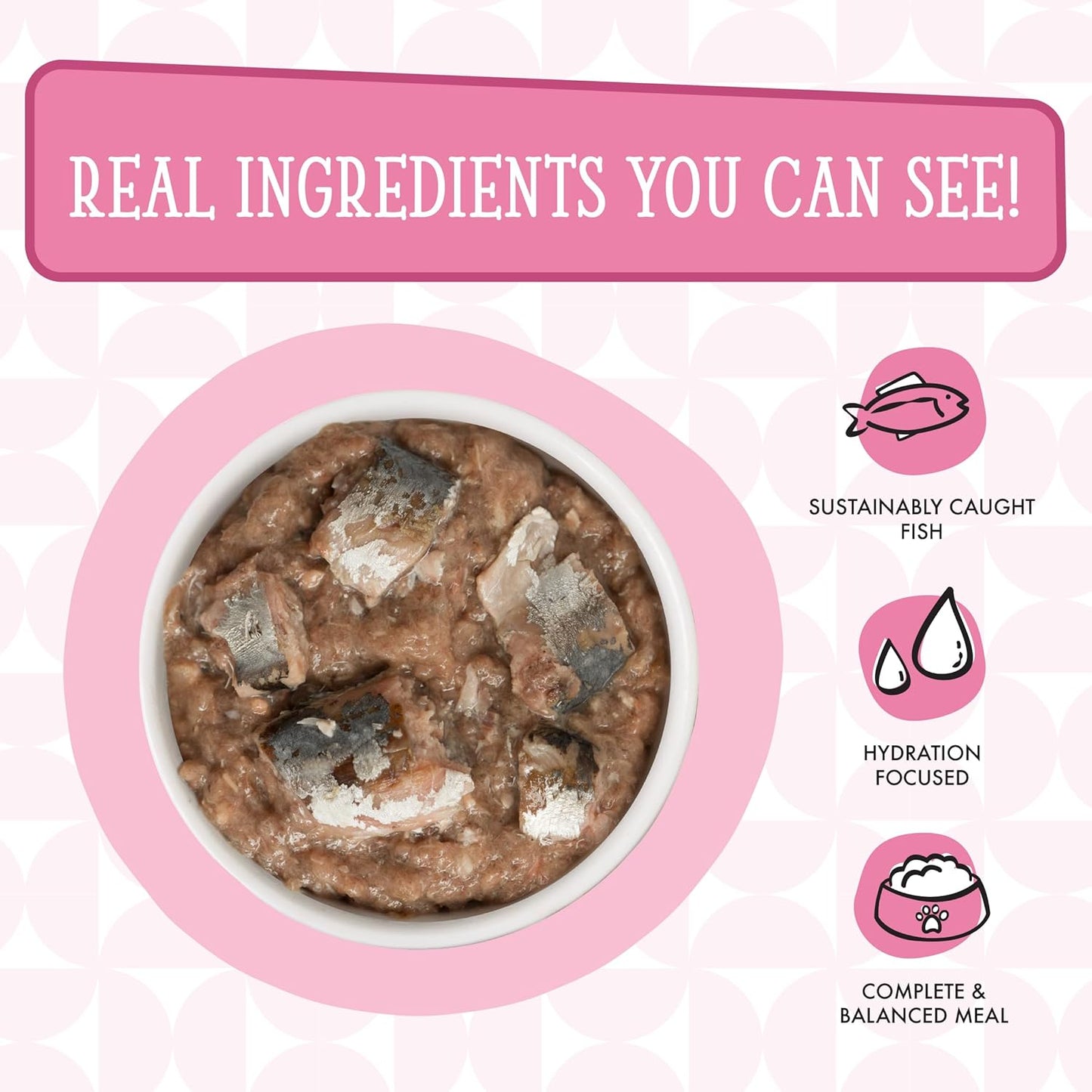 Weruva Cats in The Kitchen, Kitty Gone Wild with Wild Salmon Au Jus Cat Food, 6oz Can (Pack of 24)