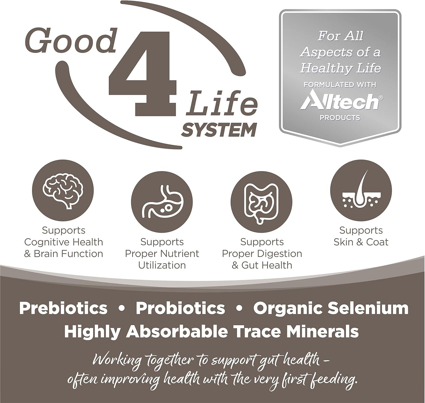 NutriSource Dry Dog Food for Seniors, Chicken and Rice, 26LB