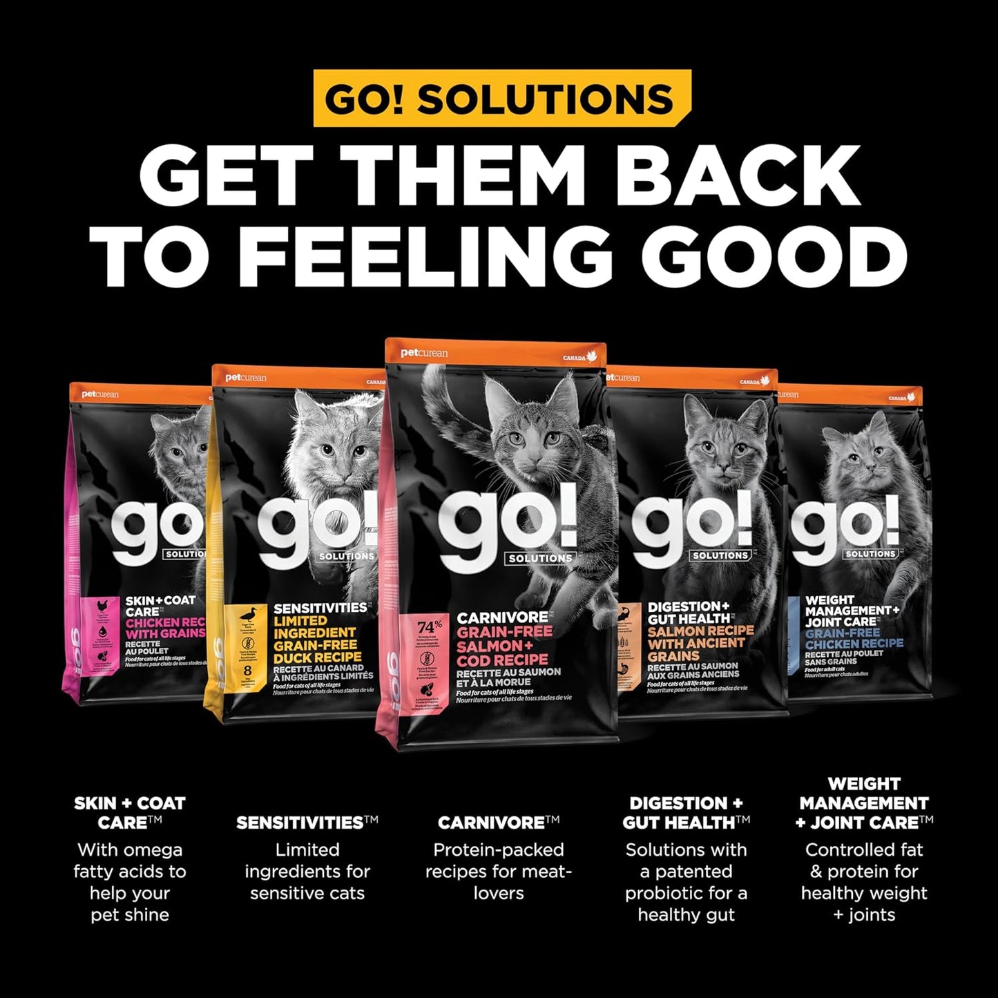 Go! Solutions Carnivore, Grain-Free, Protein Rich Dry Cat Food, Salmon and Cod Recipe, 3 lb Bag