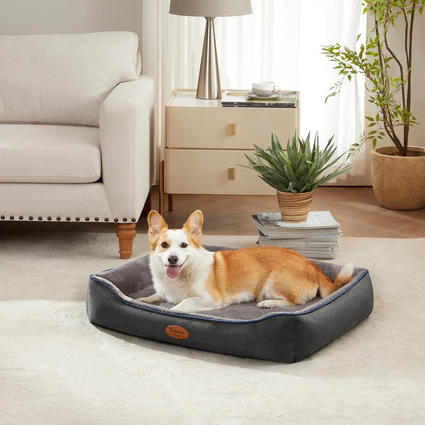 Orthopedic Dog Beds for Medium Dogs, Durable Egg Crate Foam Sofa Dog Bed wit Washable Removable Cover,Waterproof Lining,Pet Bed for Large Dogs (Dark Grey-Velvet, 31.5" L x 25.2" W x 7" Th)