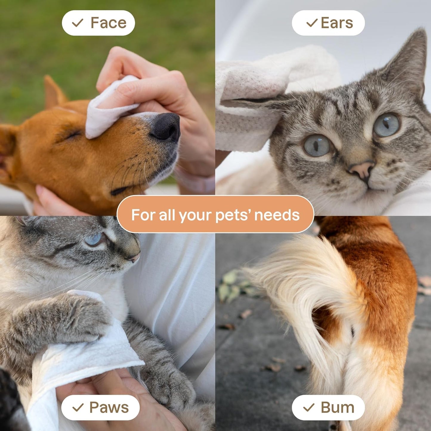 ATTITUDE Pet Wipes for Dogs & Cats, 99% Water, EWG Verified, Gentle & Unscented Cleaning Wipes for Paws, Ears, Face & Body, Deodorizing, Safe for Puppies & Kittens, 72 count