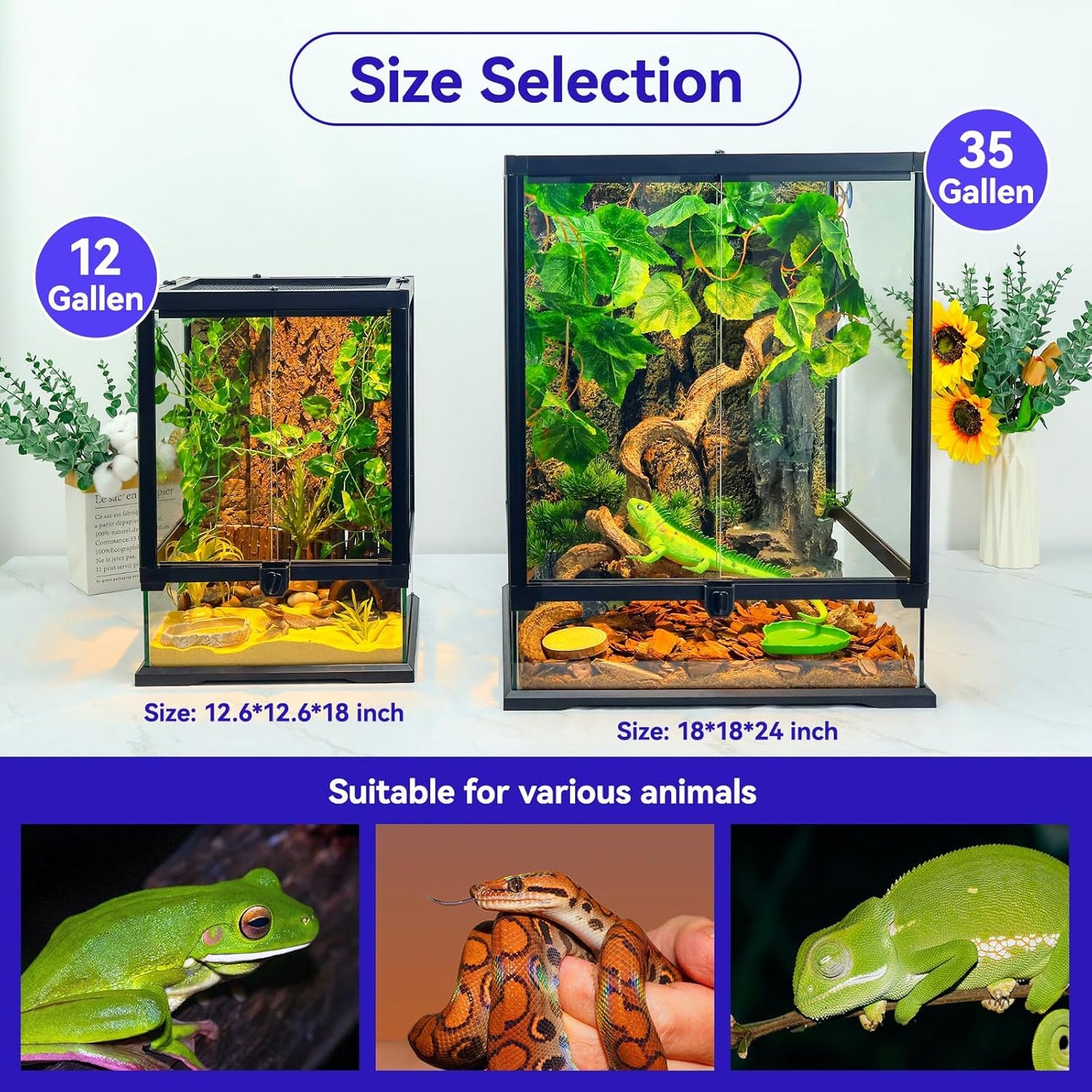 360° Clear View 35 Gallon 24x18x18 Glass Reptile Terrarium Suitable for Bearded Dragon, Chameleon, Crested Gecko, Multi-Pet Enclosure with Front Door, Excellent Ventilation, Hidden Wiring Holes