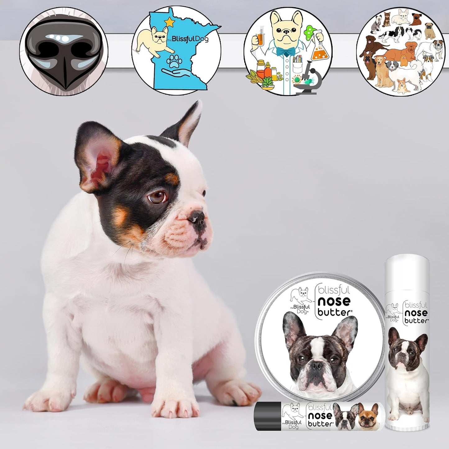 The Blissful Dog Pied French Bulldog Nose Butter, Versatile Dog Nose Balm for Dry Nose, Handcrafted Nose Moisturizer, Easy-to-Apply Dog Essentials, Unscented, 1 oz.