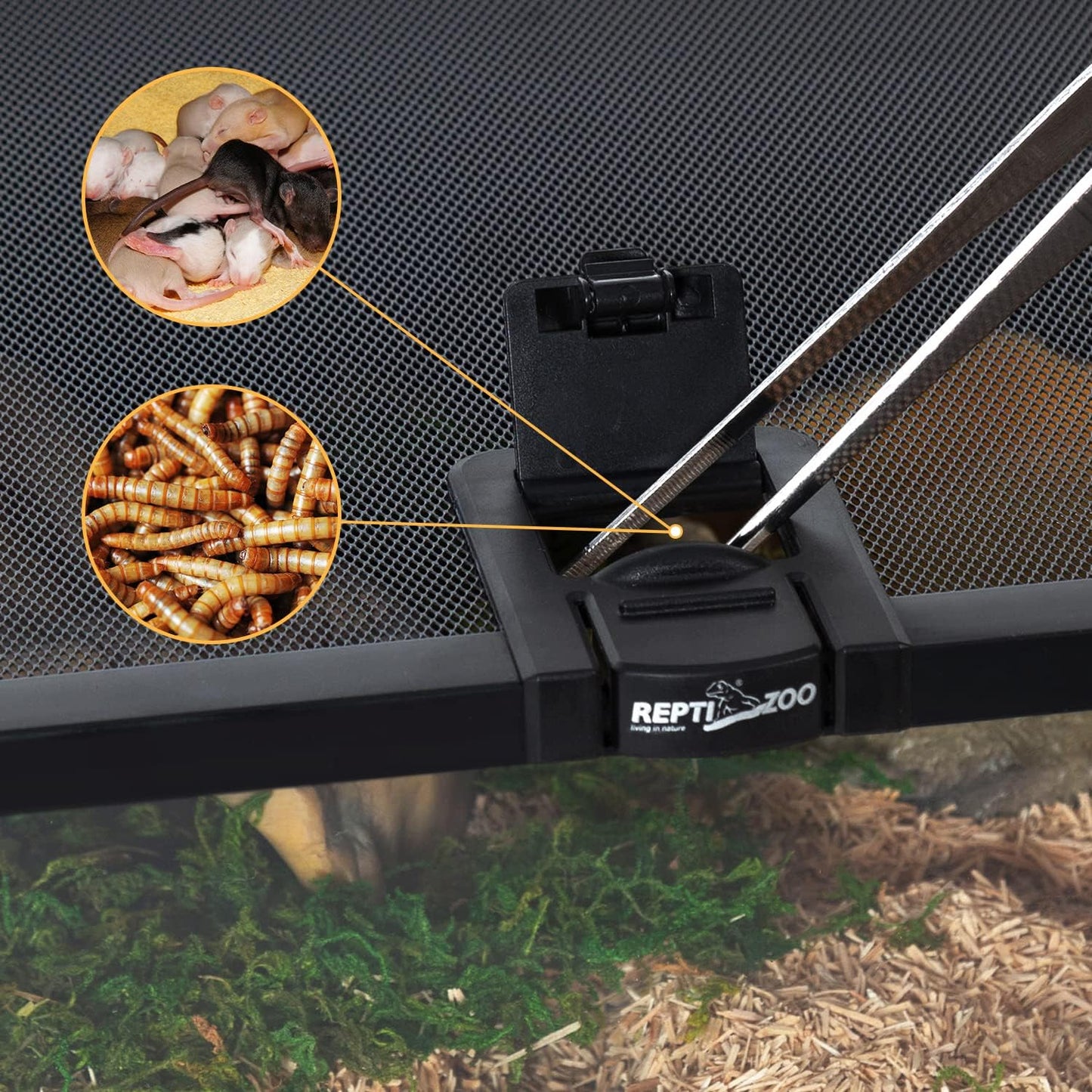 REPTIZOO Small Reptile Tank 20" x 12" x 6" Glass Reptile Terrarium with Top Feeding Habitat for Snake Spider