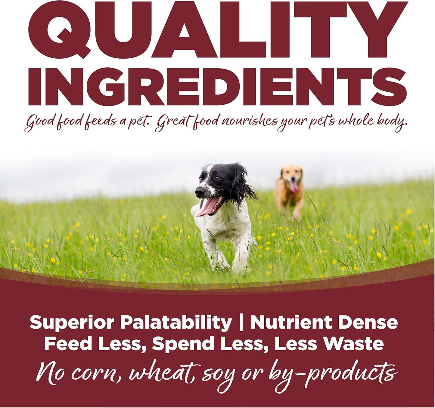 NutriSource Dog Food, Made with Beef and Brown Rice, with Wholesome Grains, 15LB, Dry Dog Food