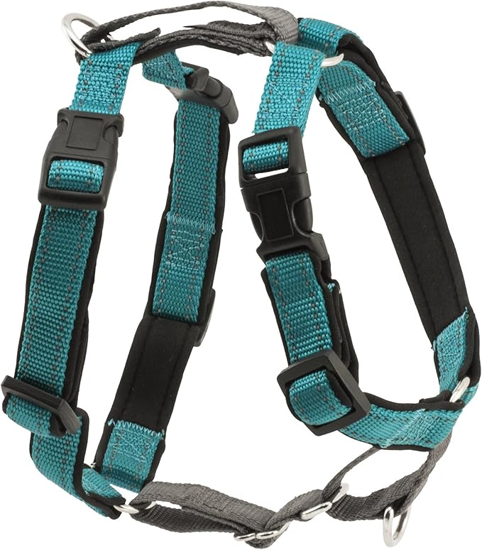 PetSafe 3 in 1 Dog Harness - No Pull Solution for Dogs - Reflective Dog Harness - Front D-Ring Clip Helps Stop Pulling - Comfortable Padded Straps - Top Handle Enhances Control - Teal - Extra Small