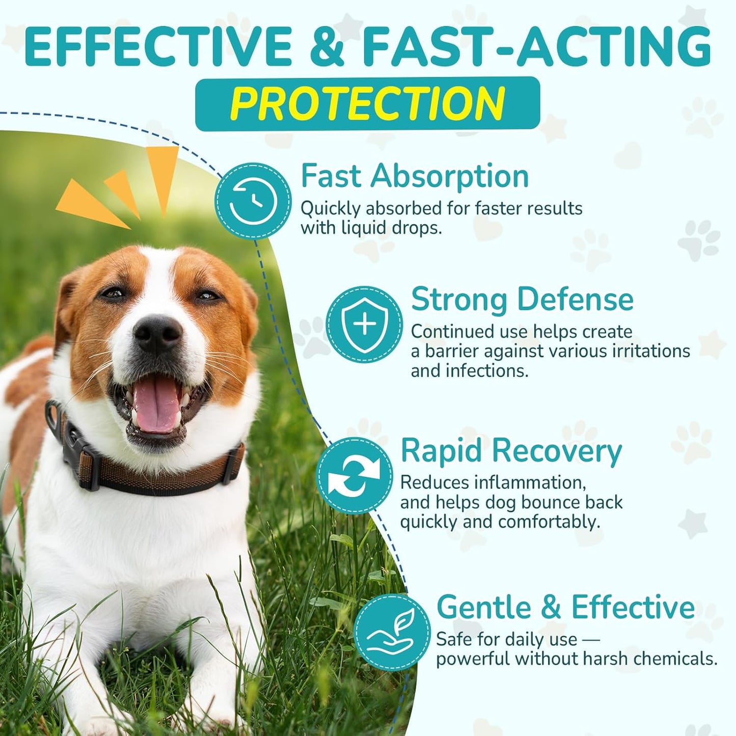 Antibiotics for Dogs | Natural Dog Antibiotics for Allergy Relief, Itch Relief, Coughs, Skin Health, Breath Treatment, Digestion | Herbal Supplement to Care for Ears, Eyes & Coat, 2 Fl Oz