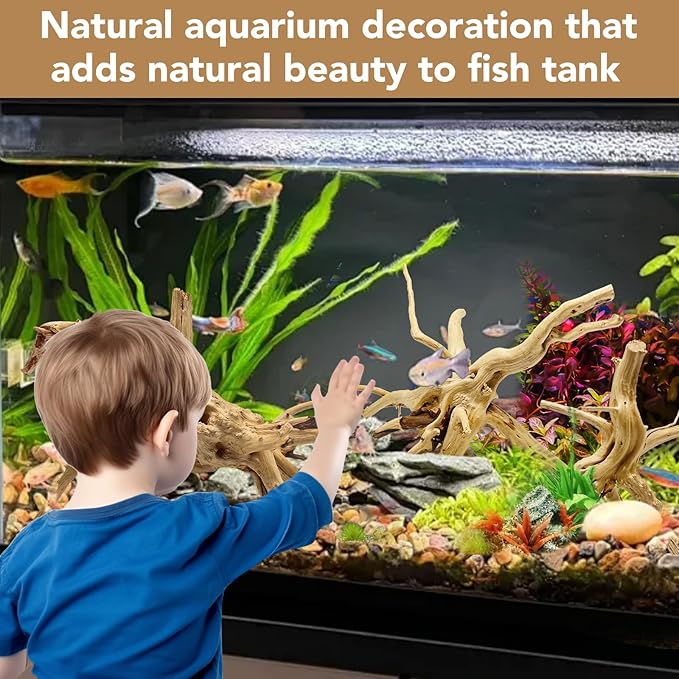 Natural Small Spiderwood Driftwood for Aquarium Decor Rptile Fish Tank Decoration Assort Branch 4-7'' 8 Pcs