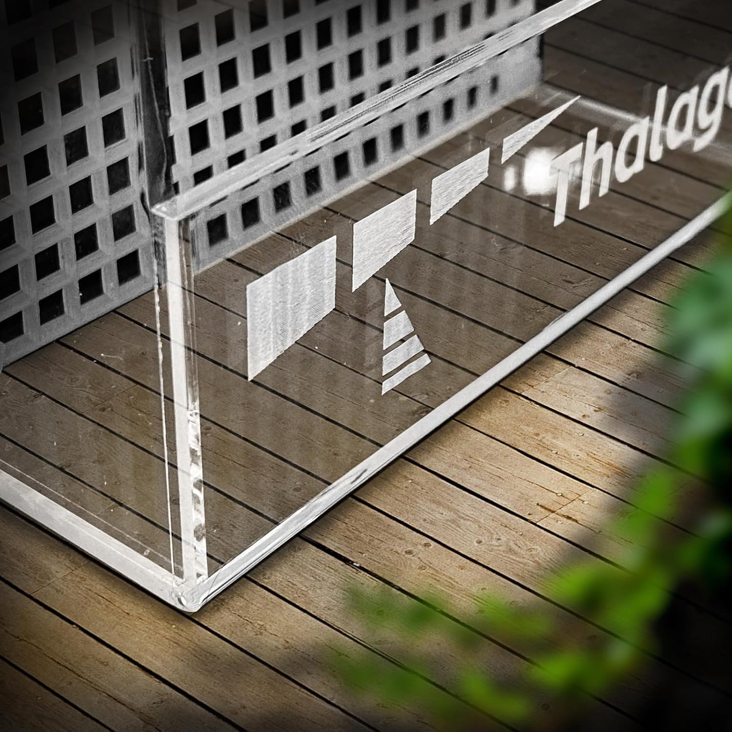 Bearded Dragon Feeder, Transparentk Acrylic Reptile Feeder Box, Chameleon Bug Bowl, Wall-Mounted Insect Feeder with Suction Cups, Tank and Aquarium Accessories for Lizard Bearded Dragon Frog