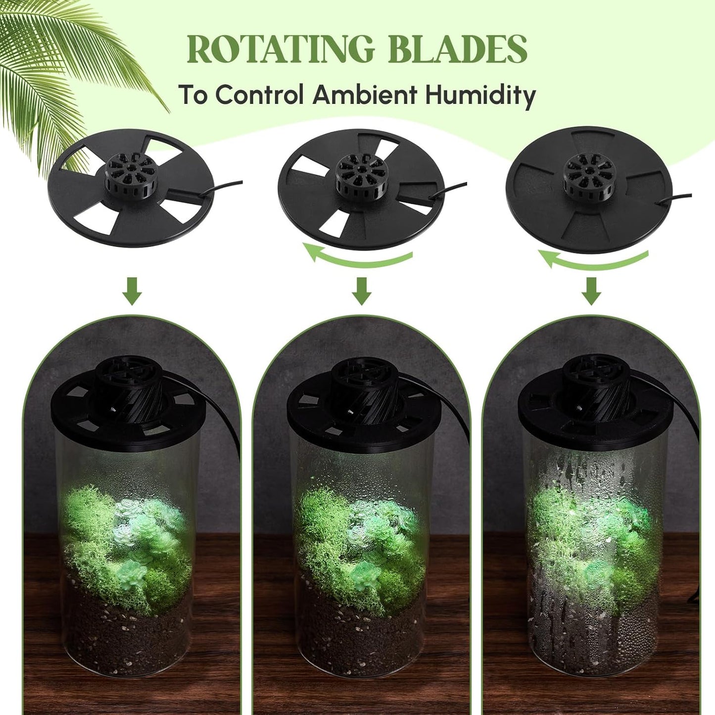 Maxdot Glass Plant Terrarium Kit with Light for Succulent, Moss, Miniature Gardening Landscape, Betta Fish Tank, Office Home Decoration, Plant Lovers Gifts (7.9 x 3.9 Inch)