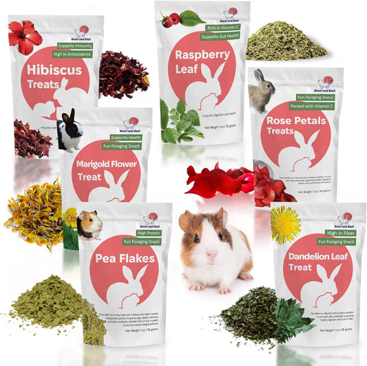 Snout and Shell Small Pet Mega Pack – 6 Natural Treats: Pea Flakes, Dandelion, Raspberry Leaf, Marigold, Rose Petals & Hibiscus – For Rabbits, Guinea Pigs, Chinchillas & More – Foraging & Health Boost
