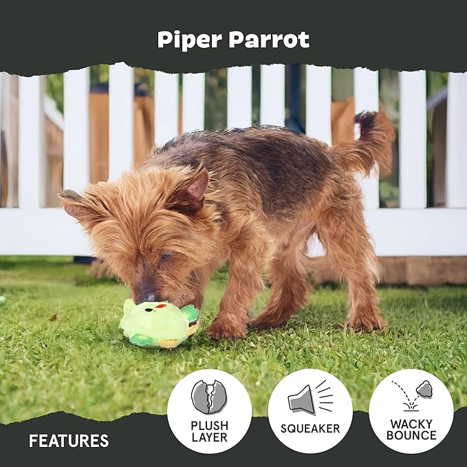 Barkbox Piper Parrot Dog Toy for Small Dogs, Perfect for Flipping Fun and Tearable Outer Layer with Bonus Toy Inside for Extra Playtime Excitement