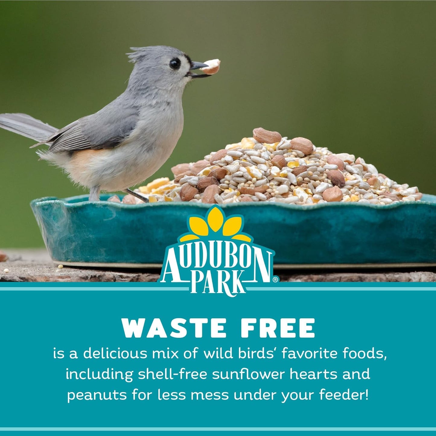 Audubon Park Waste Free Wild Bird Seed –12 lb. No Mess Blend with Sunflower Hearts & Peanut Pieces – Bird Food for Outside Feeders