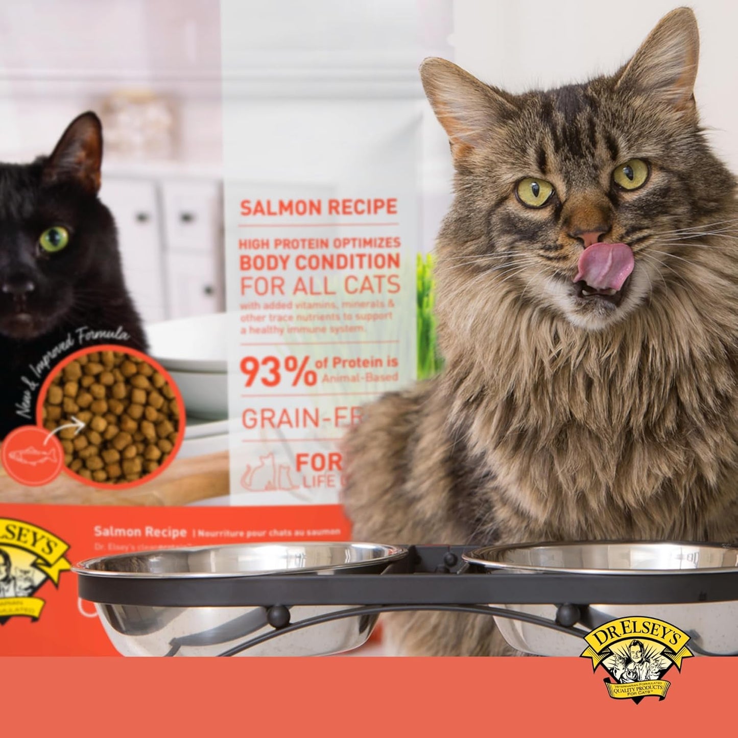 Dr. Elsey's Cleanprotein Salmon Formula Dry Cat Food, 6.6 Lb